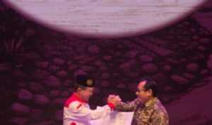 program (16)